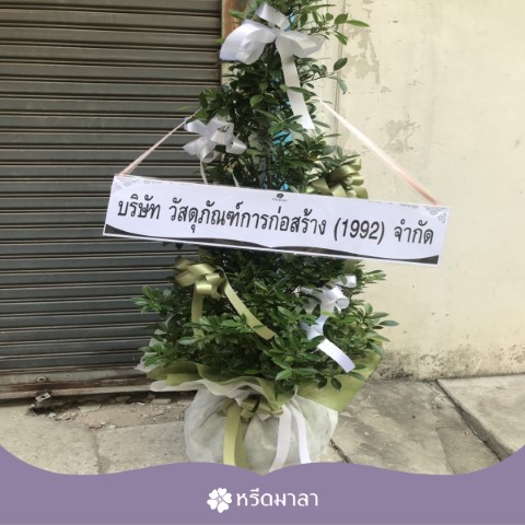 พวงหรีดต้นไม้-ต้นไทรเกาหลี เหมาะสำหรับการแสดงความอาลัยทุกประเภท